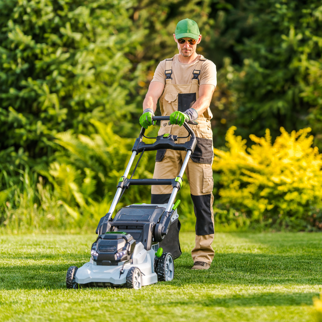 Expert Lawn Care Services: Your Best Friend for Your Yard