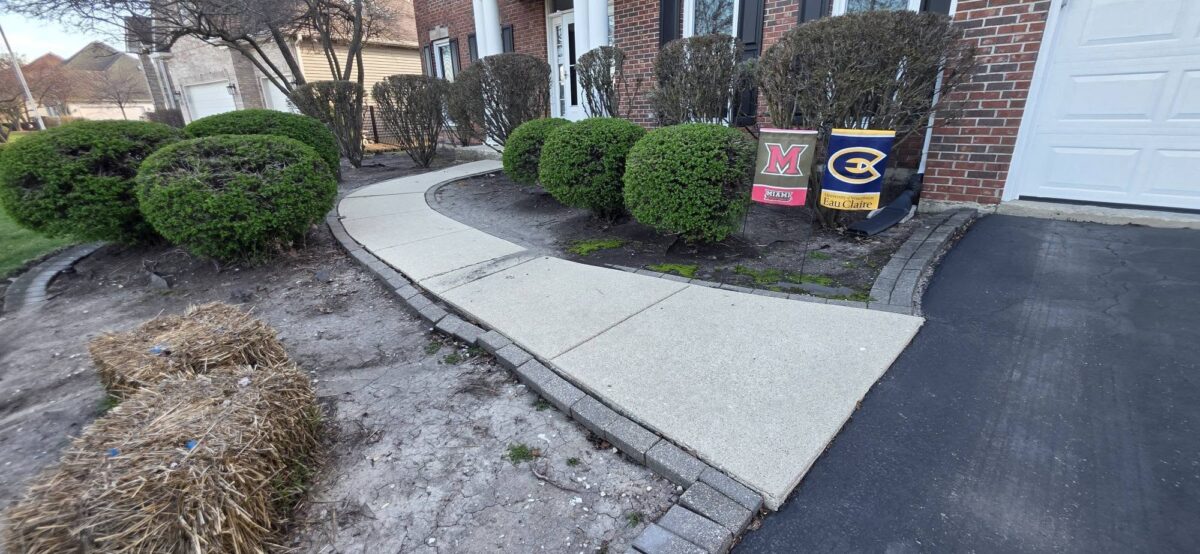 Professional Landscaping Services in Aurora